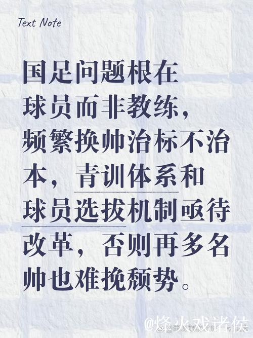 国足换帅行动 需要全面升级 研判要基于中国足球现实